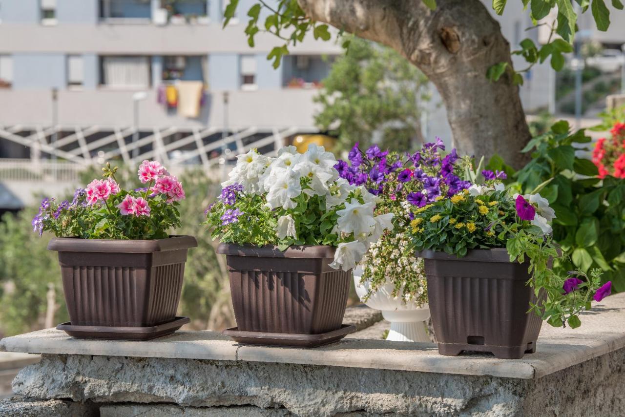 Apartment Strawberry ماكارسكا المظهر الخارجي الصورة